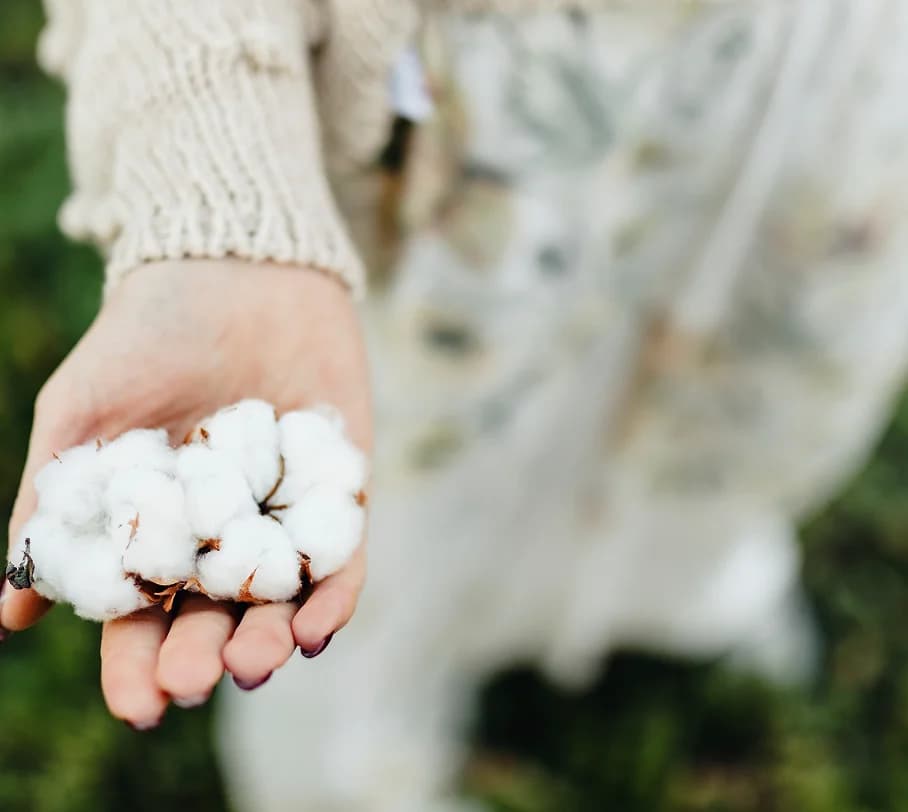 Algodón Orgánico